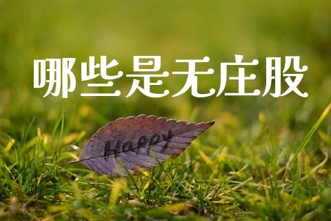 哪些是无庄股_https://www.fansifence.com_恒指交易时间_第1张