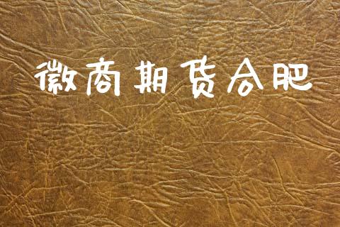 徽商期货合肥_https://www.fansifence.com_恒指交易时间_第1张