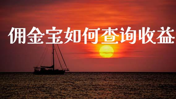 佣金宝如何查询收益_https://www.fansifence.com_中国国际期货_第1张