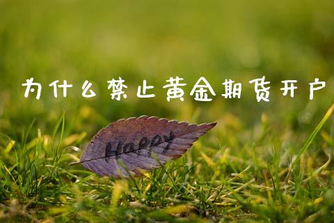 为什么禁止黄金期货开户_https://www.fansifence.com_国际期货_第1张