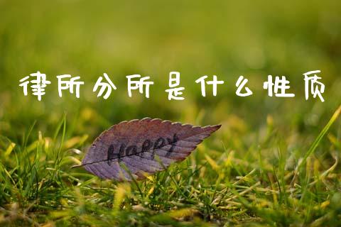 律所分所是什么性质_https://www.fansifence.com_恒指交易时间_第1张