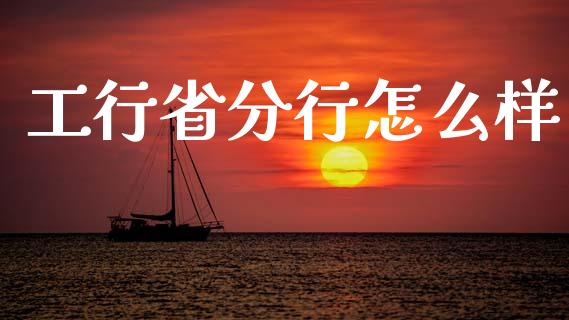 工行省分行怎么样_https://www.fansifence.com_中国国际期货_第1张