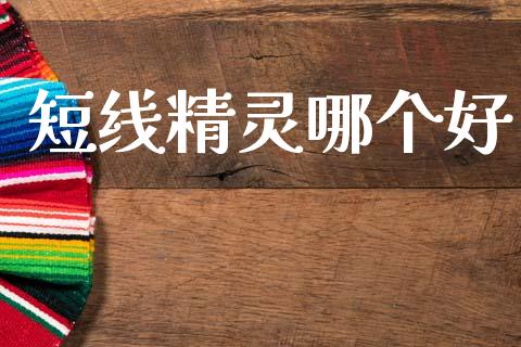 短线精灵哪个好_https://www.fansifence.com_中国国际期货_第1张