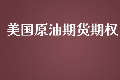 美国原油期货期权_https://www.fansifence.com_中国国际期货_第1张
