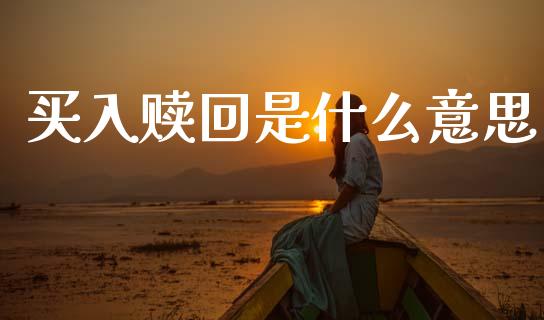 买入赎回是什么意思_https://www.fansifence.com_中国国际期货_第1张