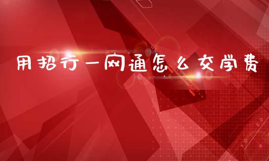 用招行一网通怎么交学费_https://www.fansifence.com_国际期货_第1张