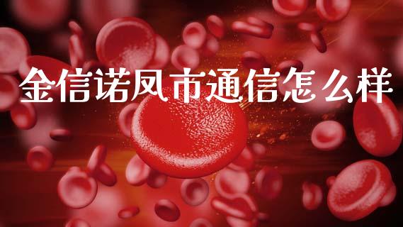 金信诺凤市通信怎么样_https://www.fansifence.com_恒指交易时间_第1张
