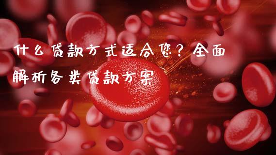什么贷款方式适合您？全面解析各类贷款方案_https://www.fansifence.com_国际期货_第1张
