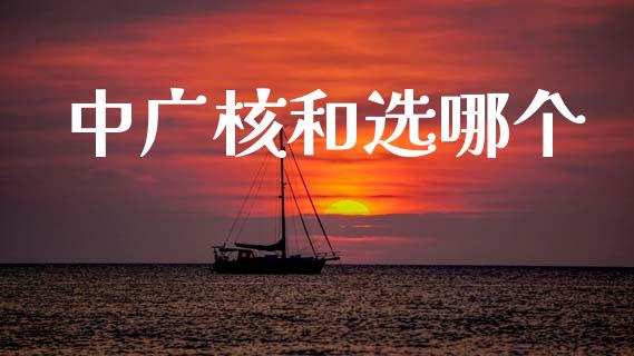 中广核和选哪个_https://www.fansifence.com_中国国际期货_第1张