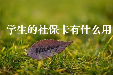 学生的社保卡有什么用_https://www.fansifence.com_国际期货行情_第1张