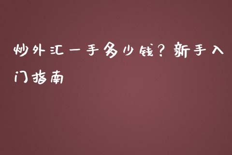 炒外汇一手多少钱？新手入门指南_https://www.fansifence.com_中国国际期货_第1张