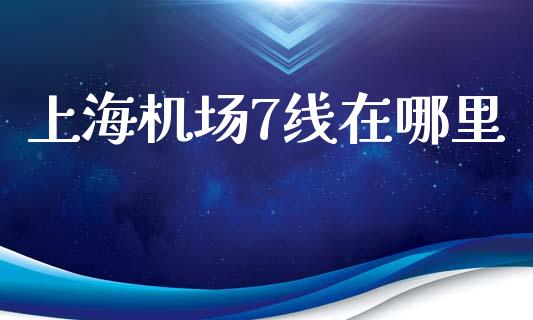 上海机场7线在哪里_https://www.fansifence.com_国际期货行情_第1张