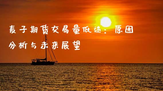麦子期货交易量低迷：原因分析与未来展望_https://www.fansifence.com_恒指交易时间_第1张