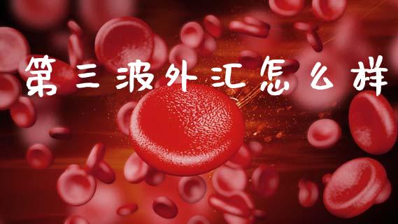 第三波外汇怎么样_https://www.fansifence.com_中国国际期货_第1张