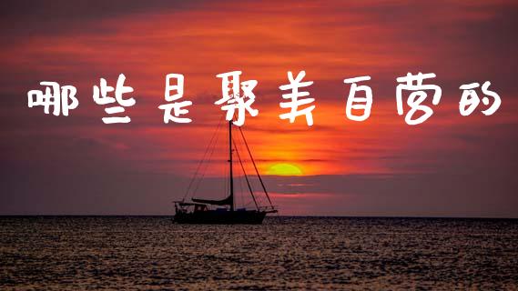 哪些是聚美自营的_https://www.fansifence.com_中国国际期货_第1张