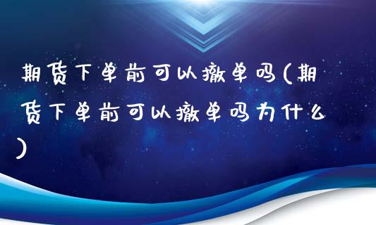 期货下单前可以撤单吗(期货下单前可以撤单吗为什么)_https://www.fansifence.com_国际期货_第1张