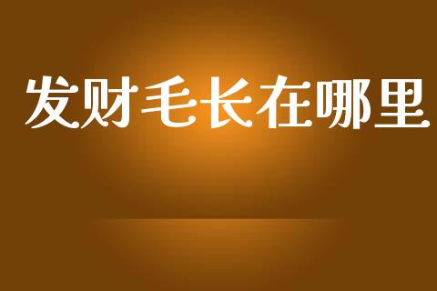 发财毛长在哪里_https://www.fansifence.com_国际期货行情_第1张