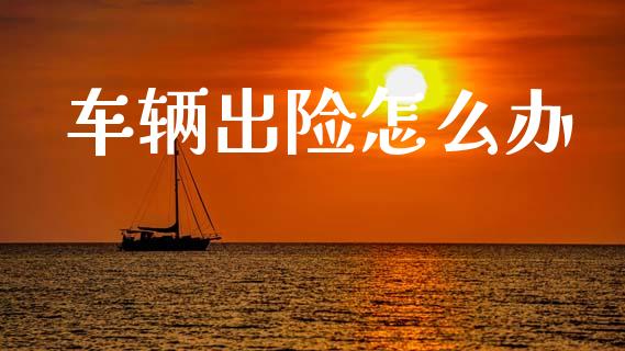 车辆出险怎么办_https://www.fansifence.com_中国国际期货_第1张