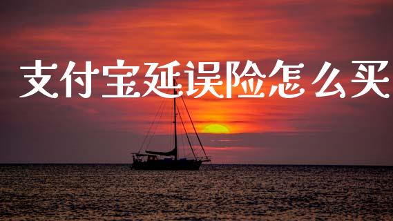 支付宝延误险怎么买_https://www.fansifence.com_恒指交易时间_第1张