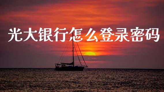 光大银行怎么登录密码_https://www.fansifence.com_国际期货_第1张