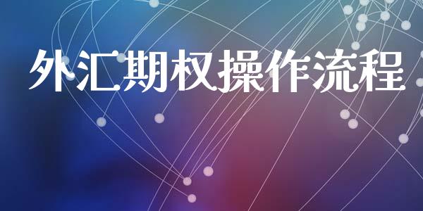 外汇期权操作流程_https://www.fansifence.com_恒指交易时间_第1张